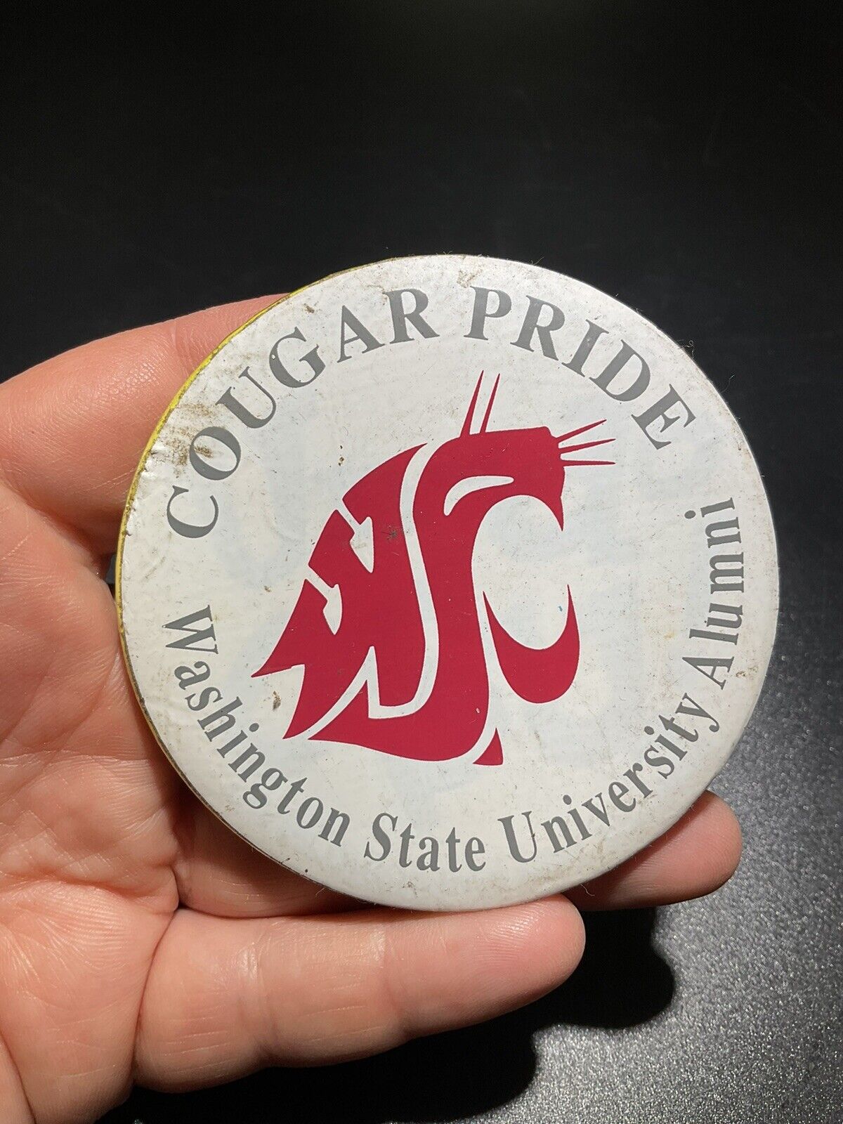 Vintage WSU Washington State University Cougars Button Pin 80s Cougar Pride Cool