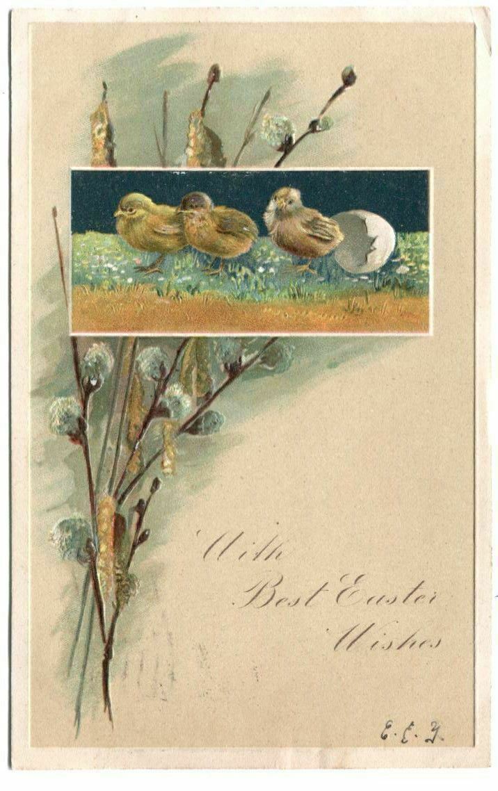 Postcard Best Easter Wishes Chicks Pussy Willow Flowers 