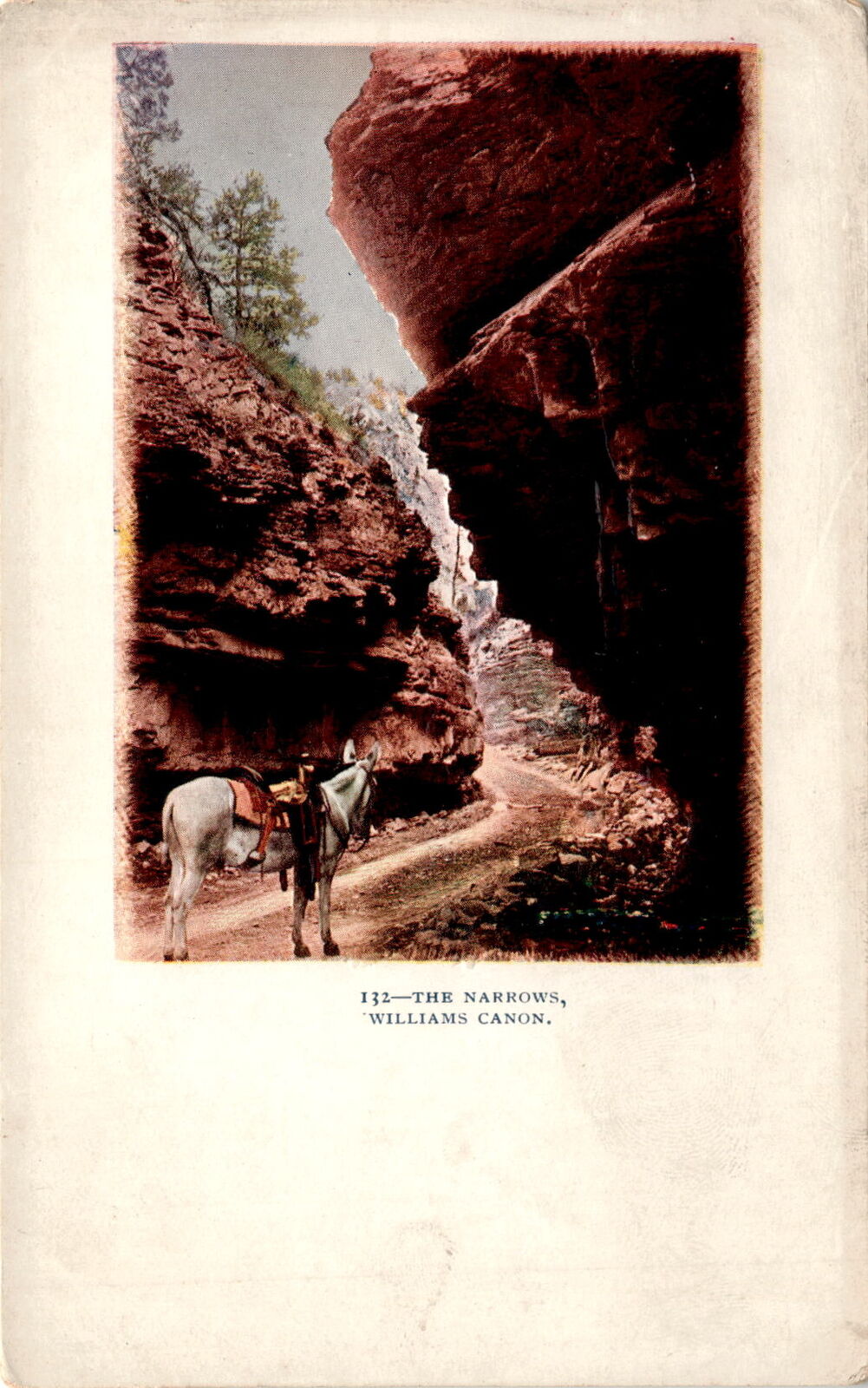 Williams Canon, The Narrows Postcard
