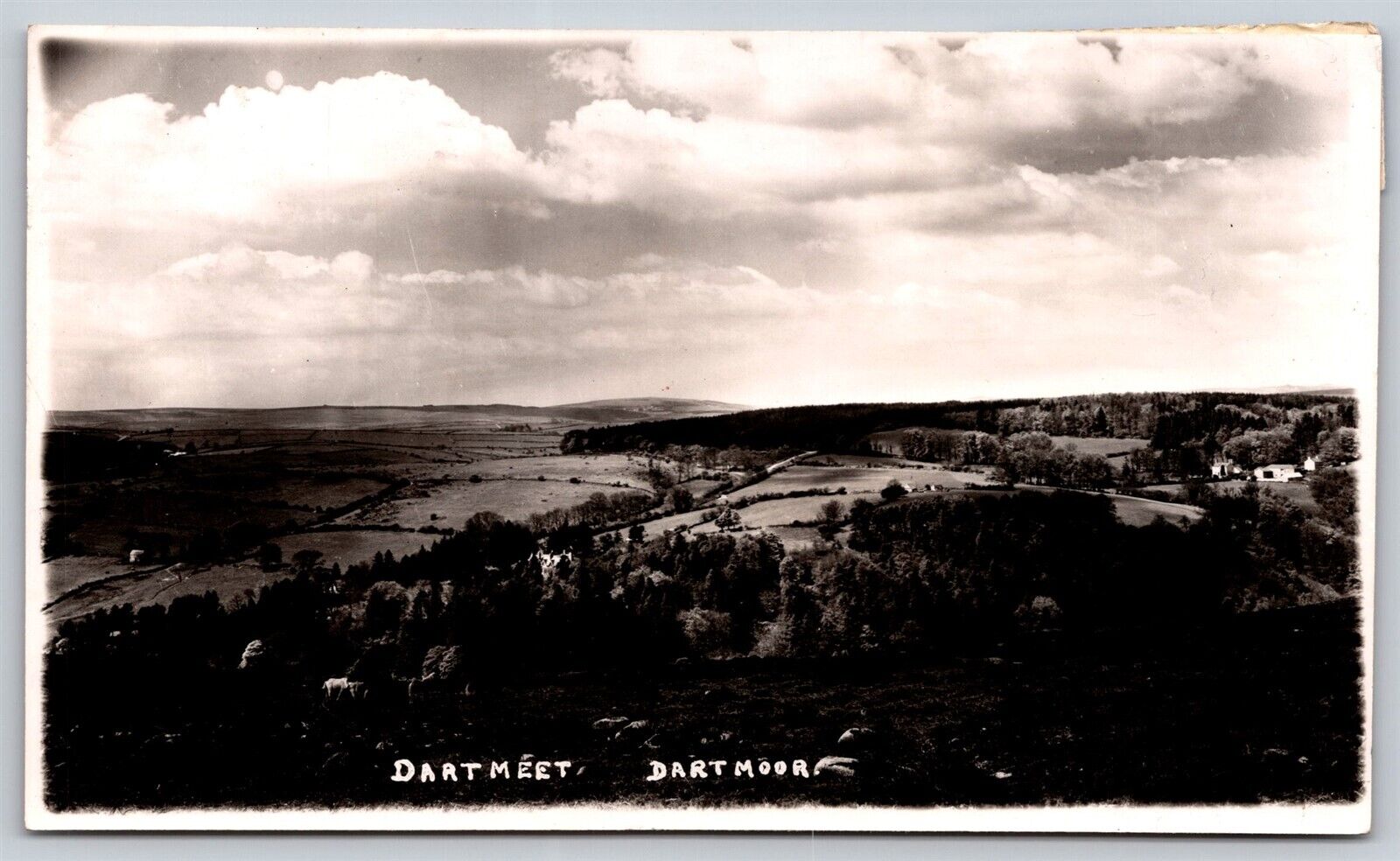 Postcard Dartmeet Dartmoor RPPC O173