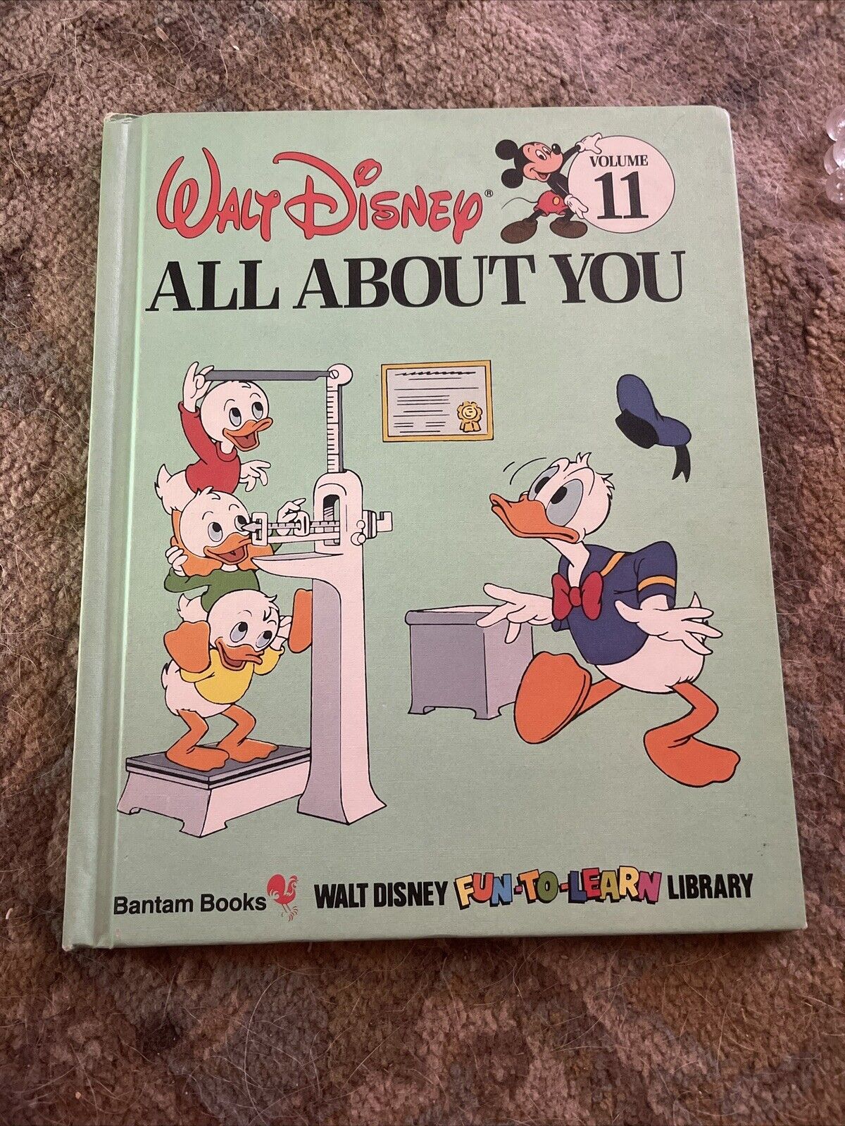 Walt Disney Book Volume 11 All About you