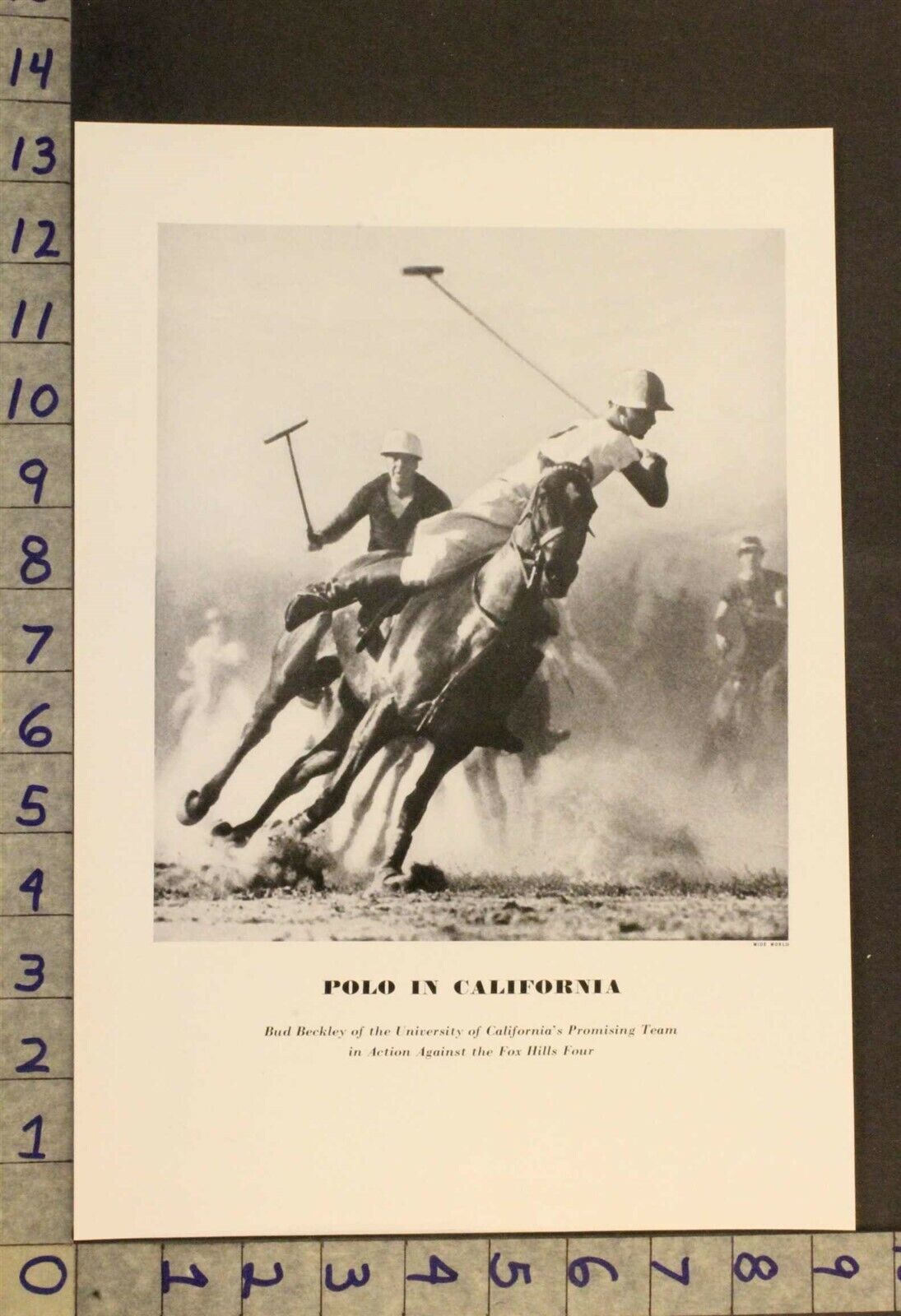 1934 EQUESTRIAN HORSE POLO CALIFORNIA BECKLEY FOX HILLS FOUR INSERT PRINT XA18