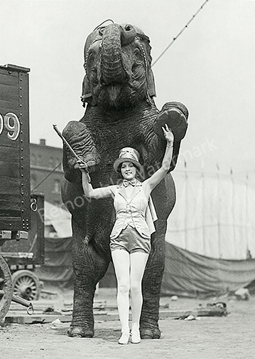 Vintage 1930\'s Circus Performer Posing w/ Elephant- Vintage Photo Print 5X7