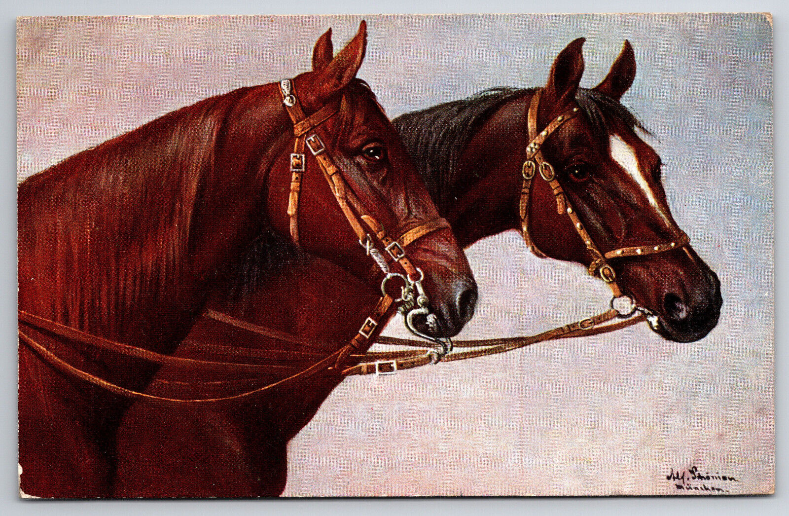 Antique Postcard Beautiful Pair Of Bridled Horses A16