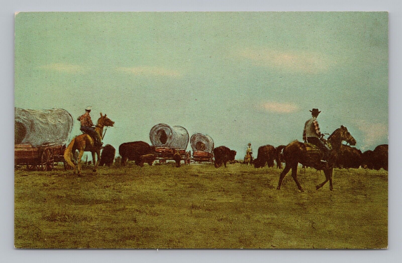 Postcard Round Up Time Buffalo Ranch Concord North Carolina Cowboys on Horses