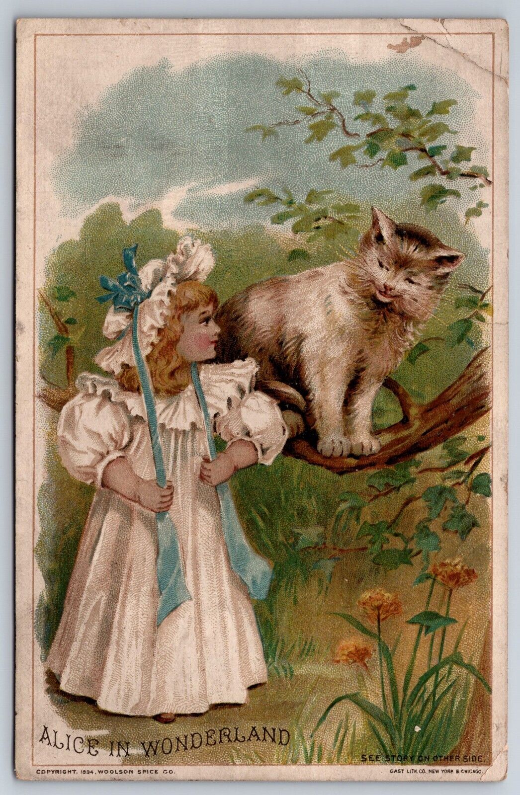 1894 Victorian Alice In Wonderland Cheshire Cat Trade Card Trade card 6\