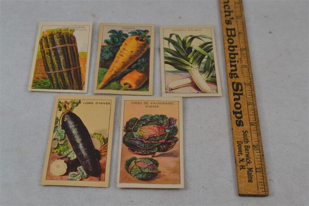 antique seed packets folded paper french color illustrated 5 pcs original 