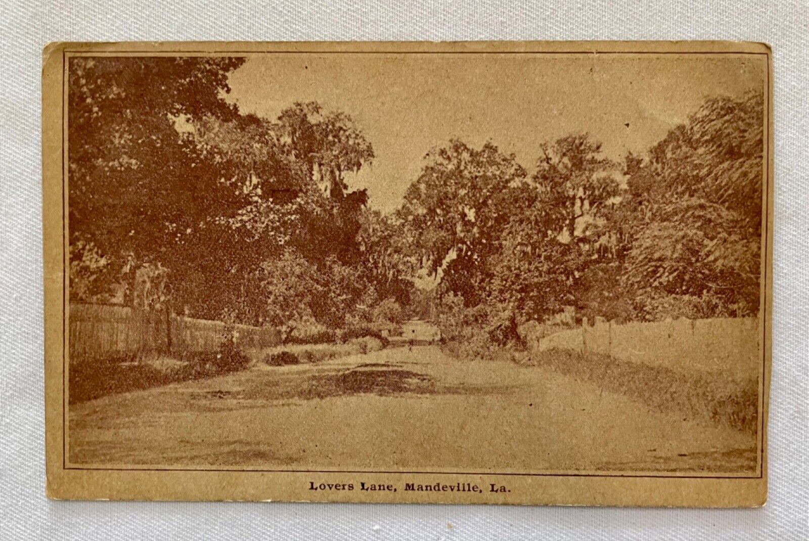 Lover\'s Lane, Mandeville, Louisiana Vintage Postcard Posted
