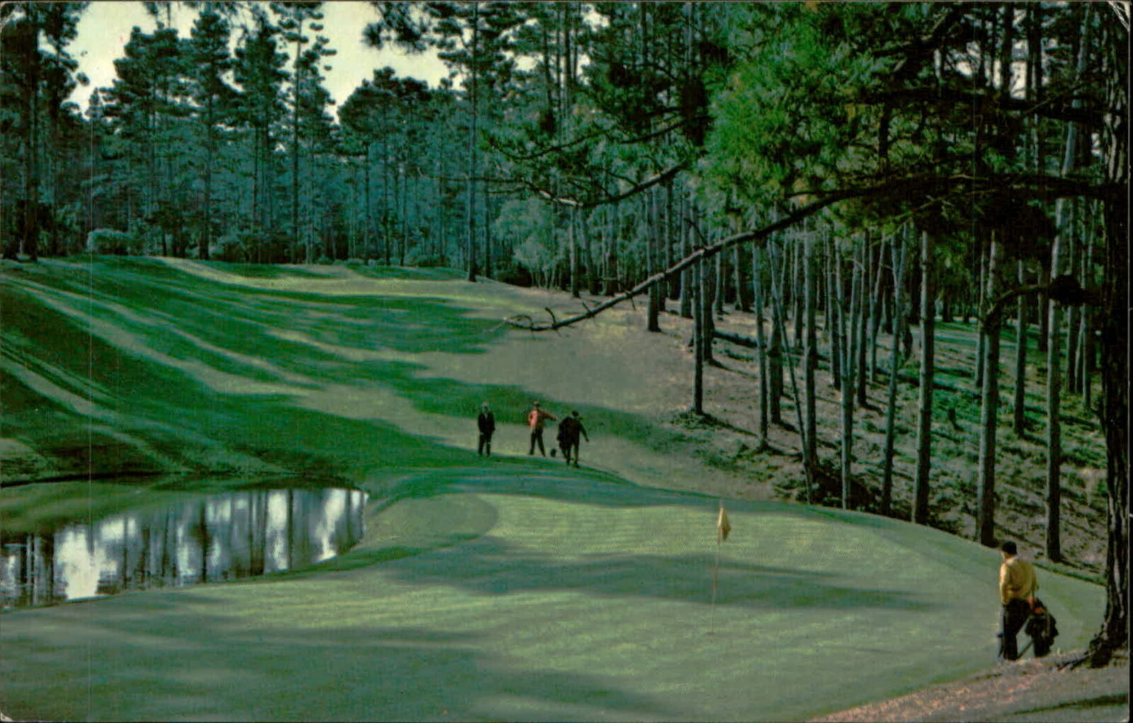 Postcard:  15TH HOLE - SPYGLASS Golf Course