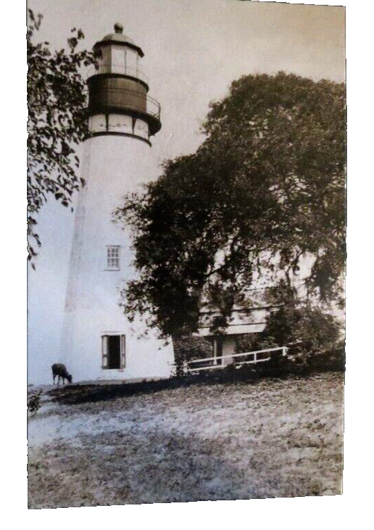 Amelia Island Lighthouse Fernandina Beach FL 1885 Reproduction Postcard