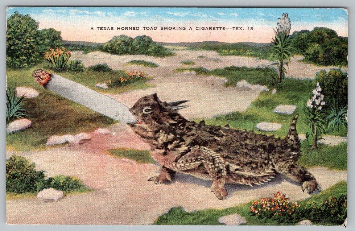 1941 TEXAS HORNED TOAD SMOKING A CIGARETTE*EXAGGERATED*HUMOROUS*BRADY POSTMARK