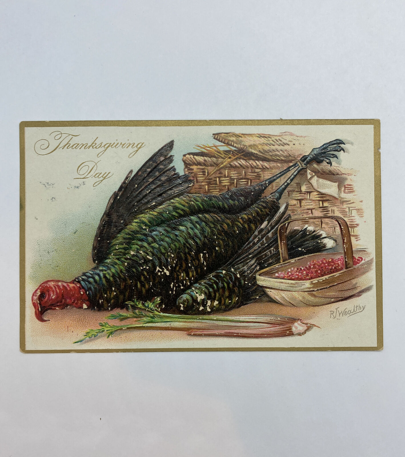 Vintage Thanksgiving Day Embossed Tuck\'s Postcard R.J. Wealthy Art Turkey Nice