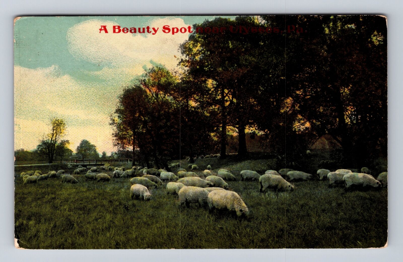 Ulysses PA-Pennsylvania, General Greeting, Sheep, Antique Vintage Postcard