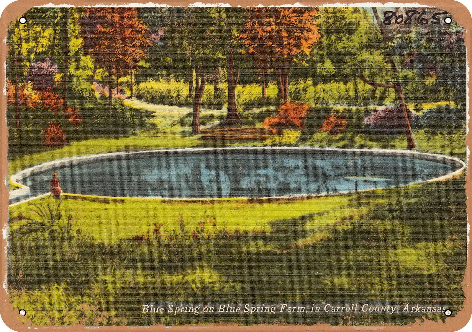 Metal Sign - Arkansas Postcard - Blue Spring on Blue Spring Farm, in Carroll Co