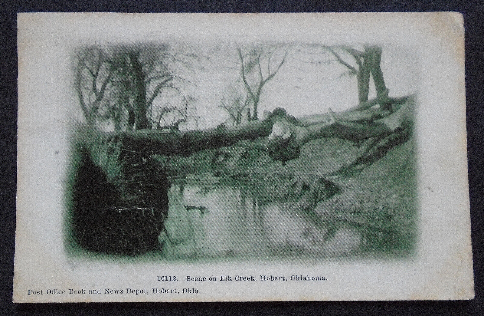 Hobart, OK, Scene on Elk Creek, lady siting on fallen tree, postmarked 1909