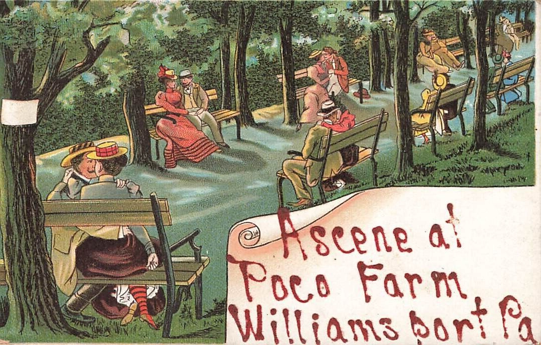 Postcard A Scene at Poco Farm Williams Port Pennsylvania NH1 Glitter