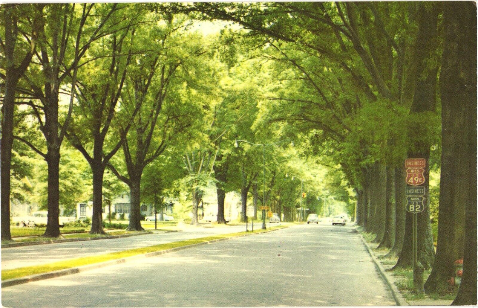 America\'s Most Beautiful Street Grand Boulevard, Greenwood, Mississippi Postcard