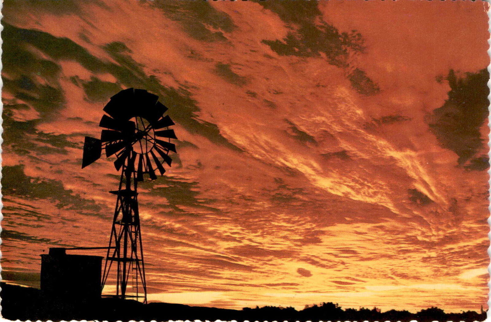 Windmills, cattle country, southwest, Petley Studios, Phoenix, Postcard