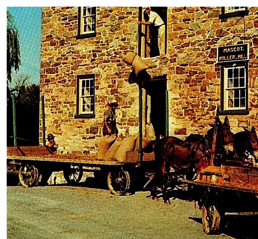 Postcard Ronks, PA Mascot Roller Mills Pennsylvania Horse Drawn Wagon 1988 C