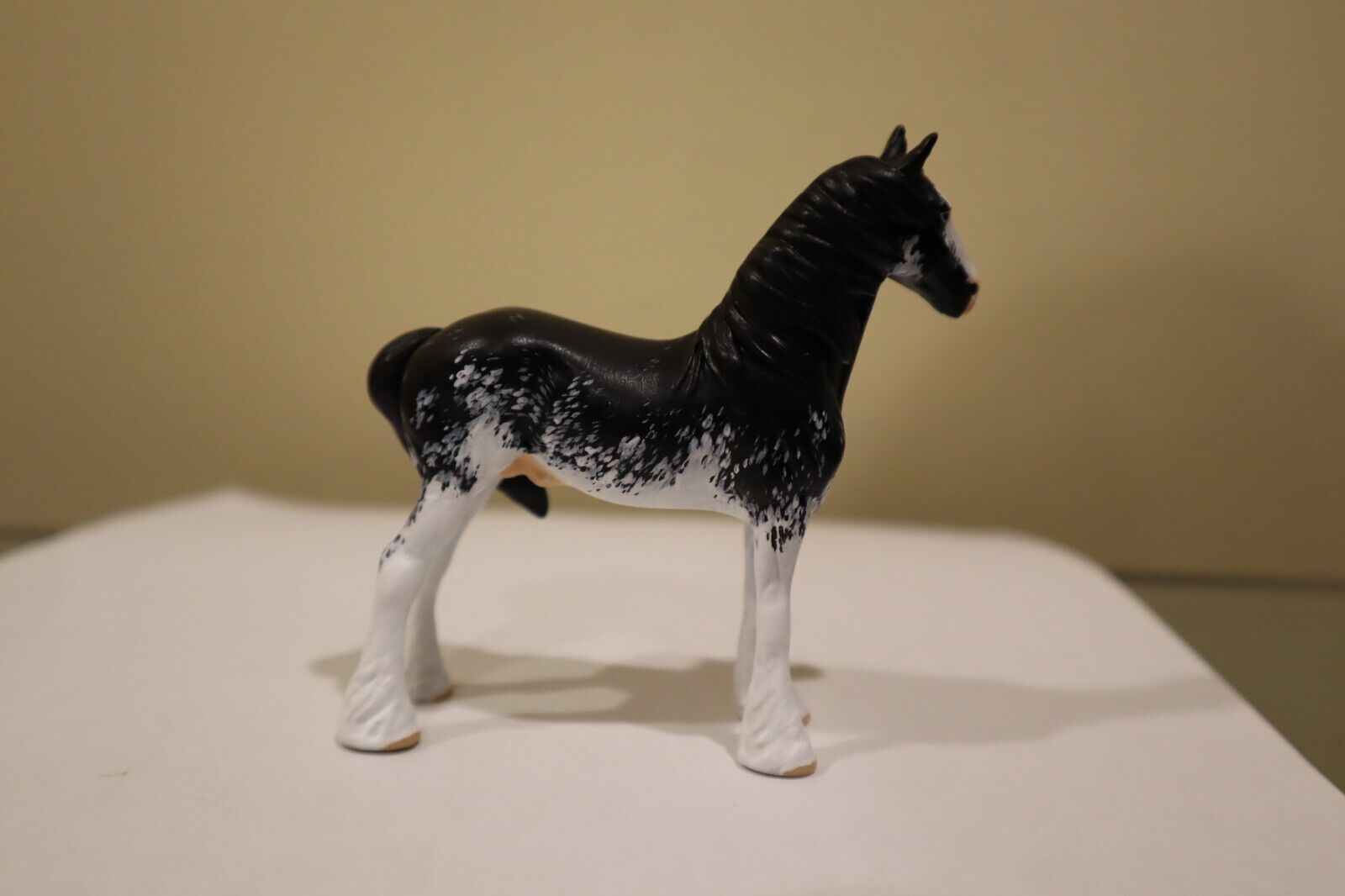 Custom Stone Chips Drafter to Flashy Black Sabino w/ New Mane and Tail 