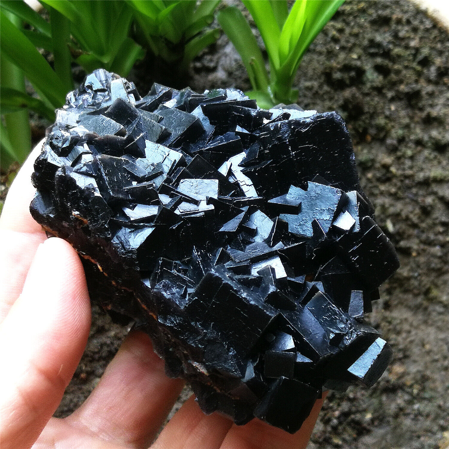 389g Unique Natural Himalayan Black Cube Fluorite Crystal Cluster Specimen