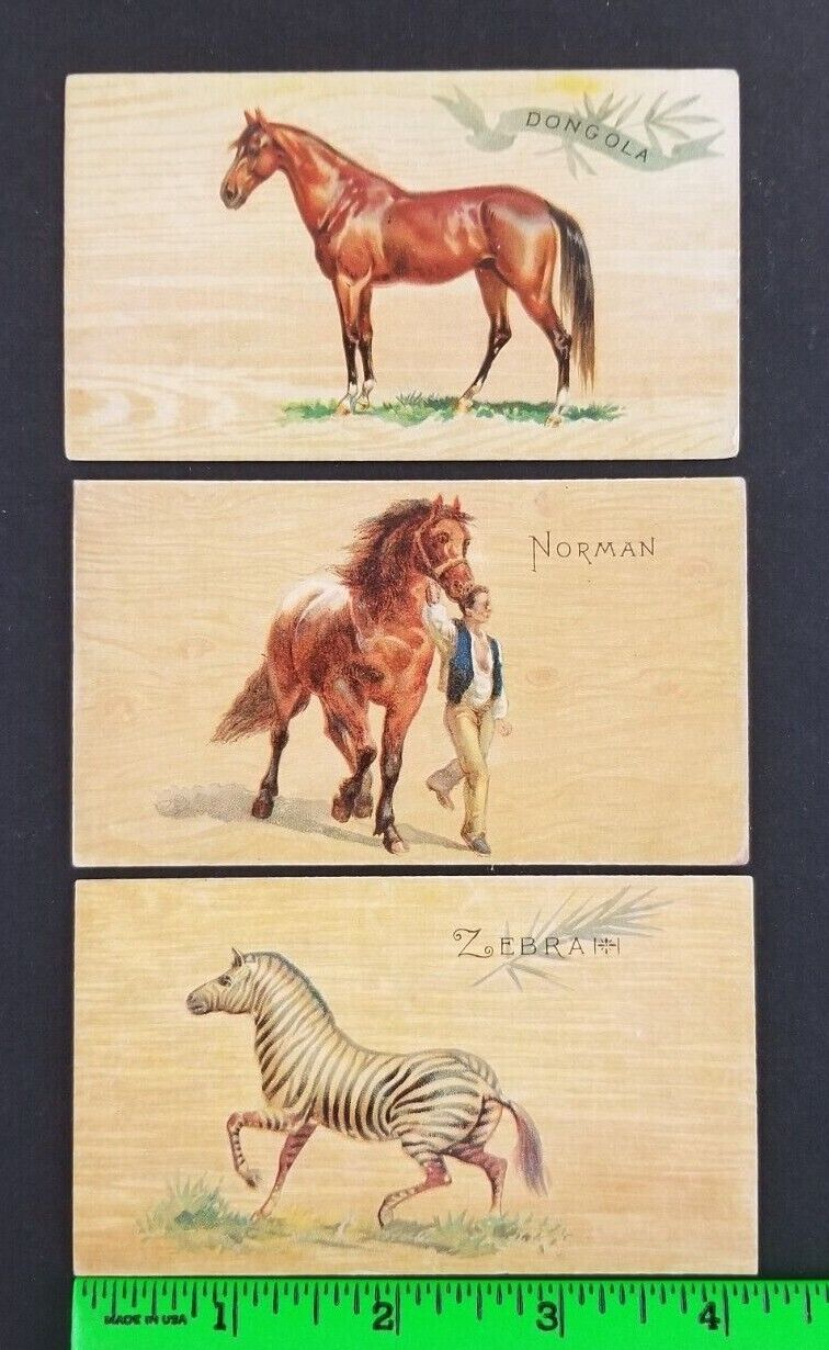 Vintage (Lot of 3) 1892 Zebra Horses Breed Dukes N101 Tobacco Cards