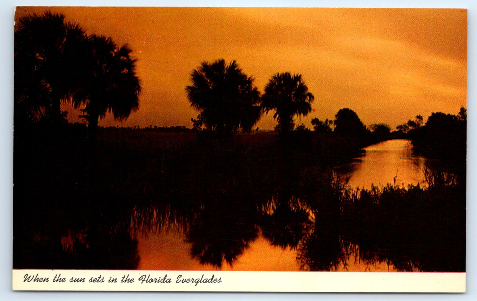  Postcard Everglades Sun Set Florida Unposted 