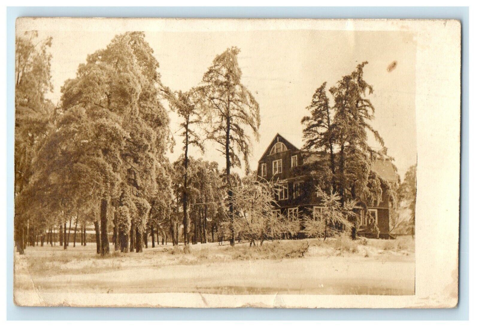 1909 Springfield Massachusetts MA, Ice Storm House Trees RPPC Photo Postcard