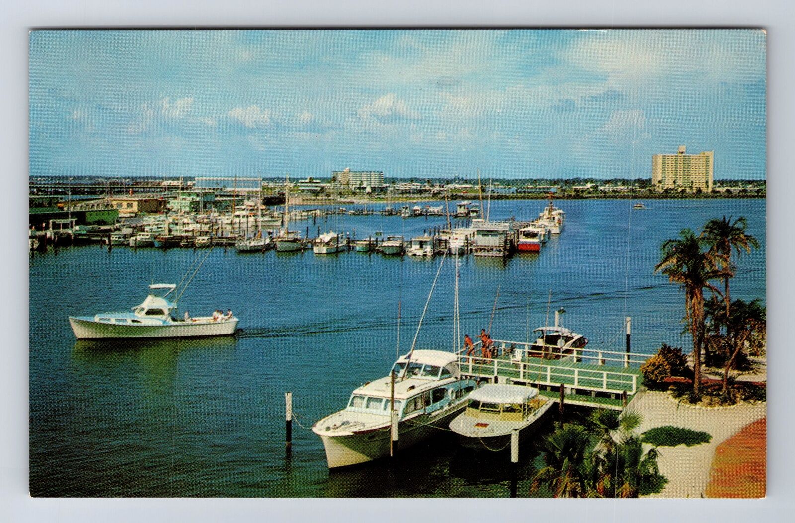Clearwater Beach FL-Florida, the Marina & Yacht Basin, Souvenir Vintage Postcard