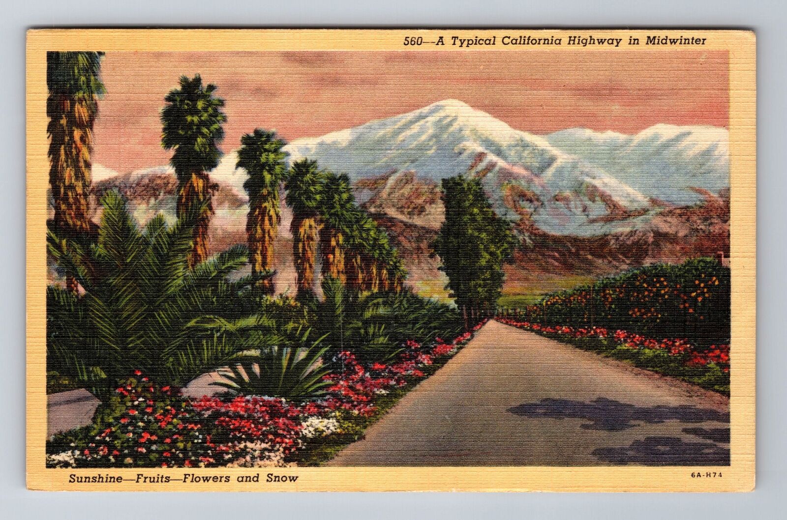 A Typical California Highway In Midwinter, Antique, Vintage Postcard