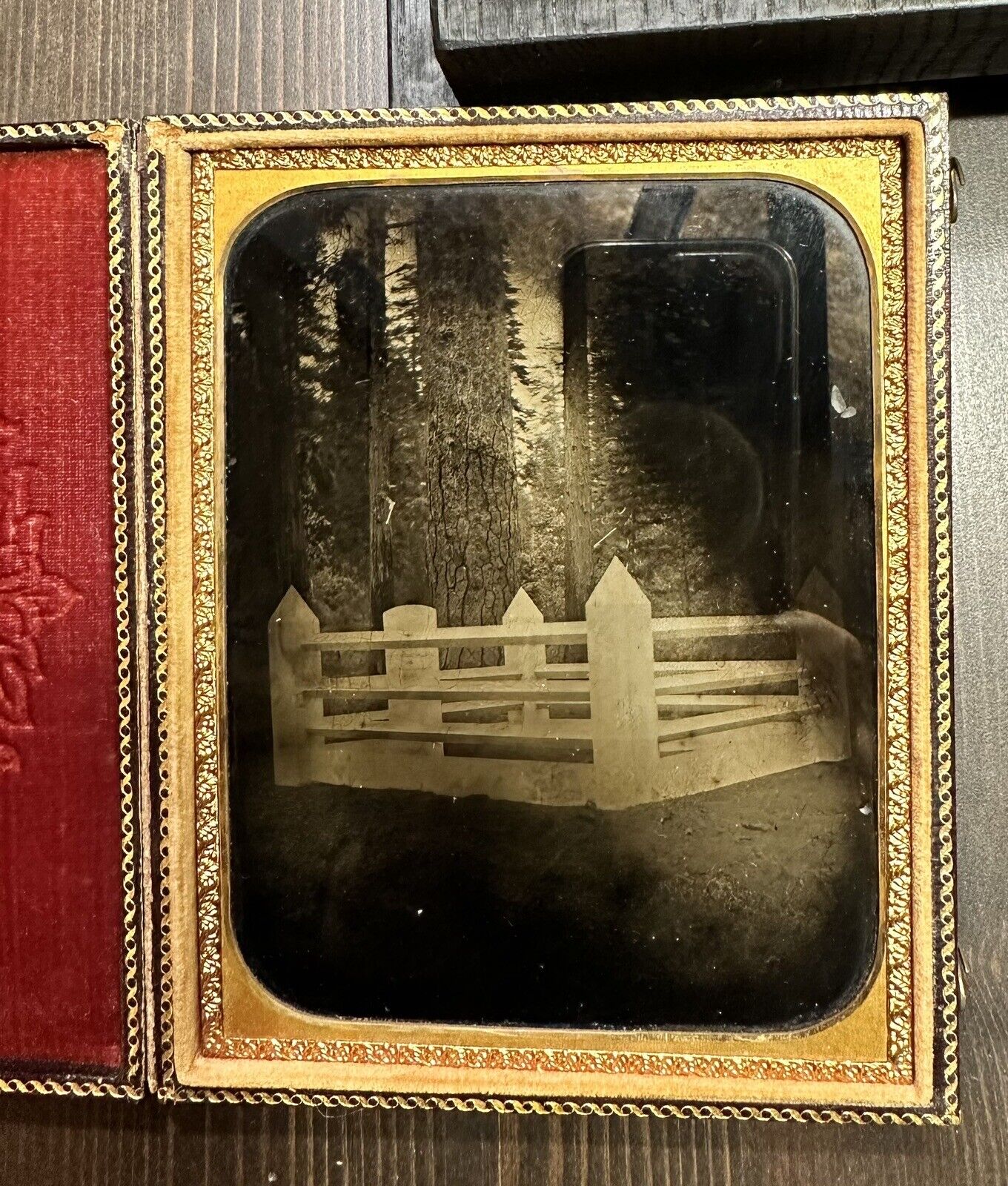 Rare Large 1850s Ambrotype of a Wooded Cemetery / Graveyard Photo Antique 1800s