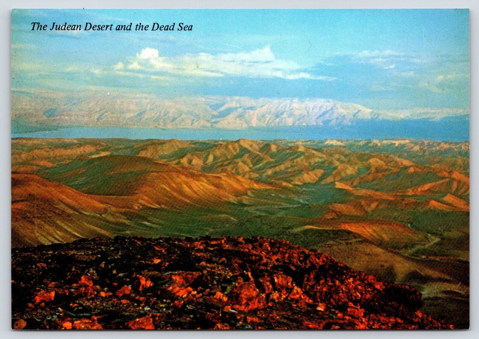 Israel Judean Desert and Dead Sea Vintage Postcard Continental