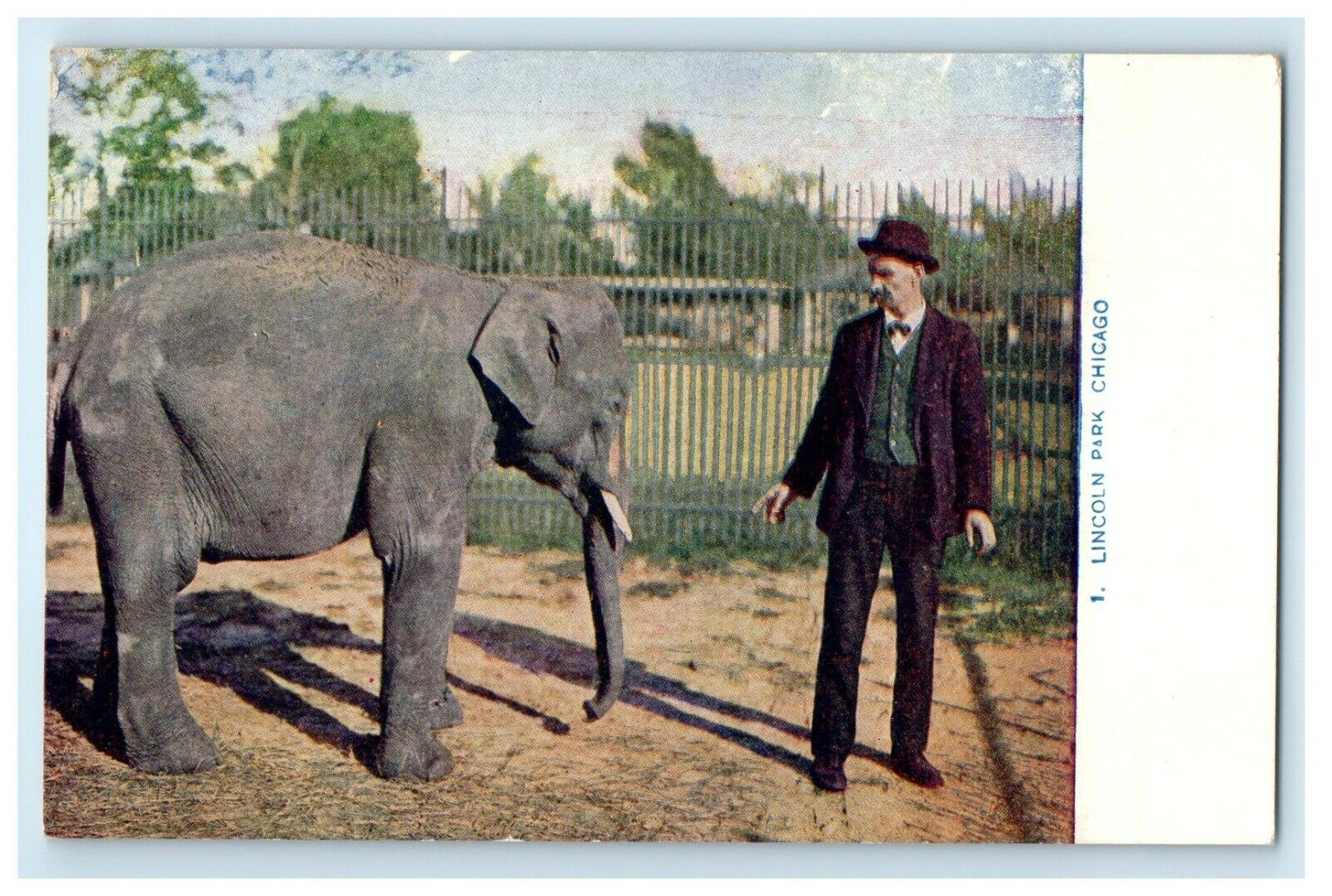 c1910\'s Lincoln Park Elephant Scene Chicago Illinois IL Antique Postcard
