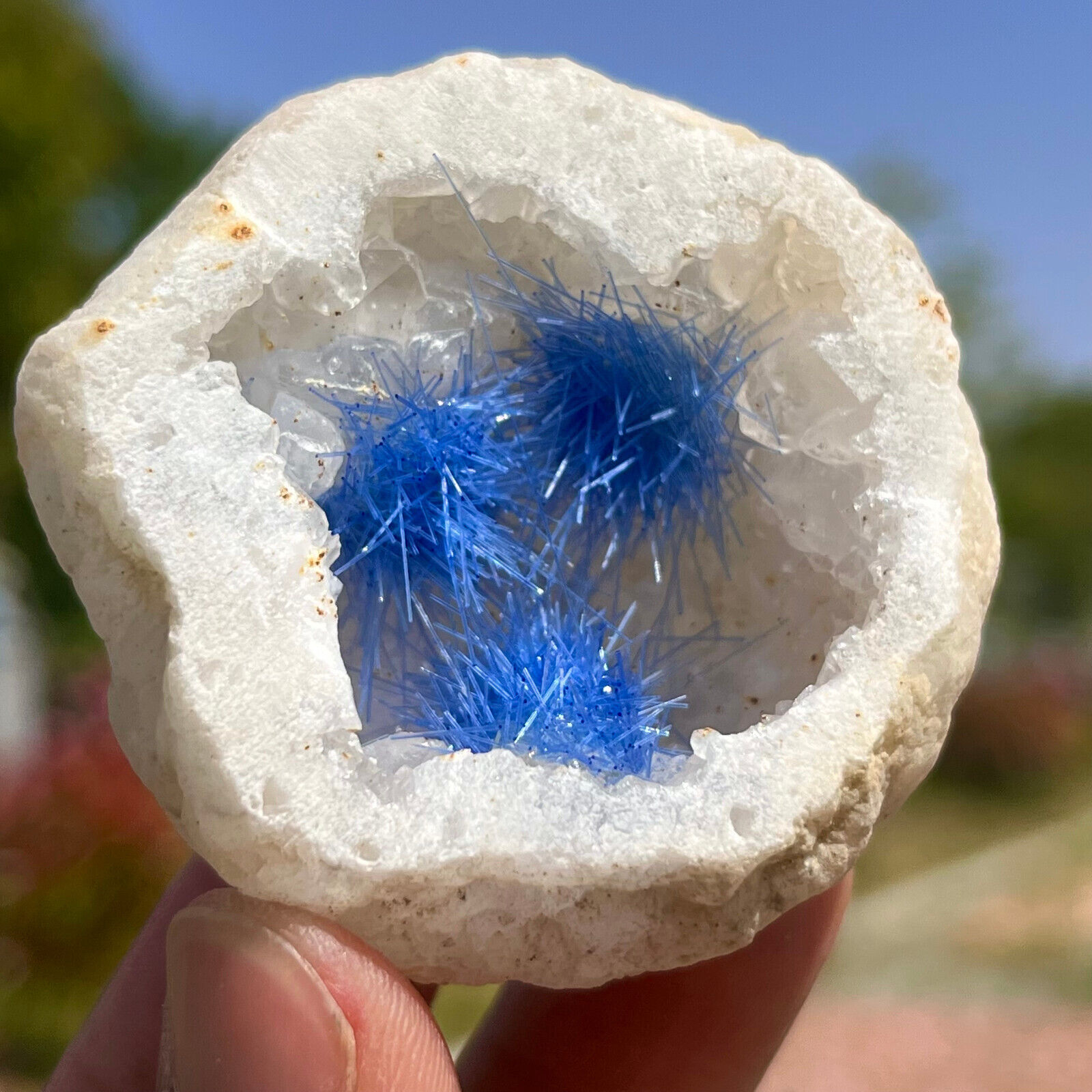67G Rare Moroccan blue magnesite and quartz crystal coexisting specimen