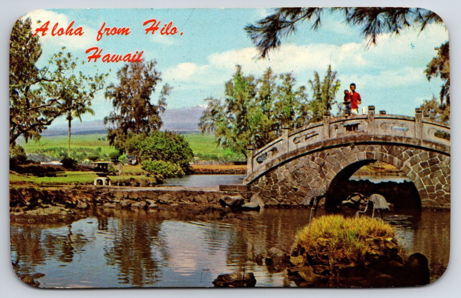 Liliuokalani Park Hilo Hawaii HI Aloha Colourpicture Chrome Postcard