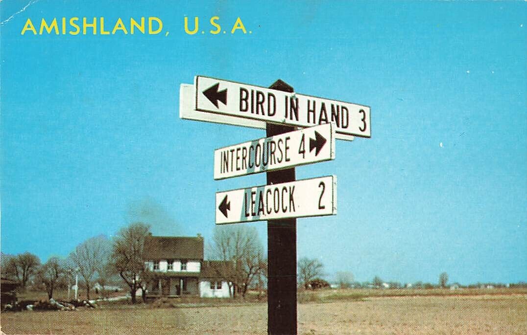 Postcard Amishland Road Signs Lancaster County Pennsylvania PA c1969