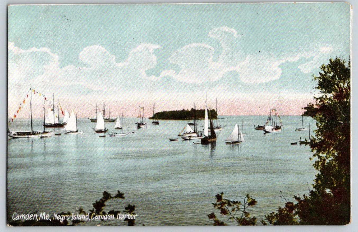 UDB Postcard~ Negro Island~ Camden Harbor~ Group Of Sailboats~ Camden, Maine