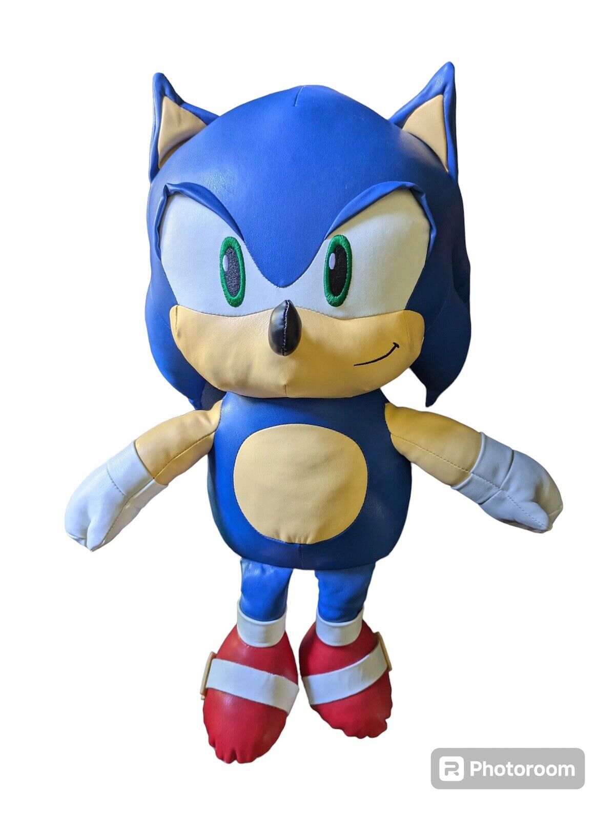 Sonic The Hedgehog 16\