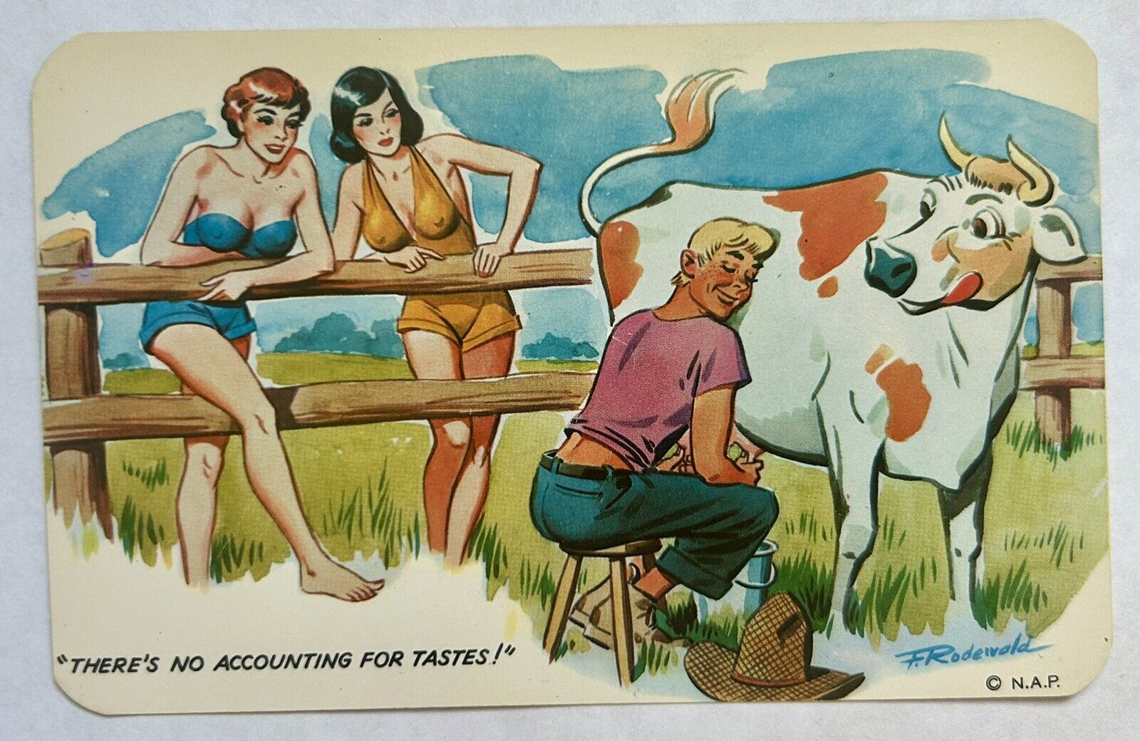 Man Milking Cow In Front Of Big Breasted Women Funny Vintage Postcard