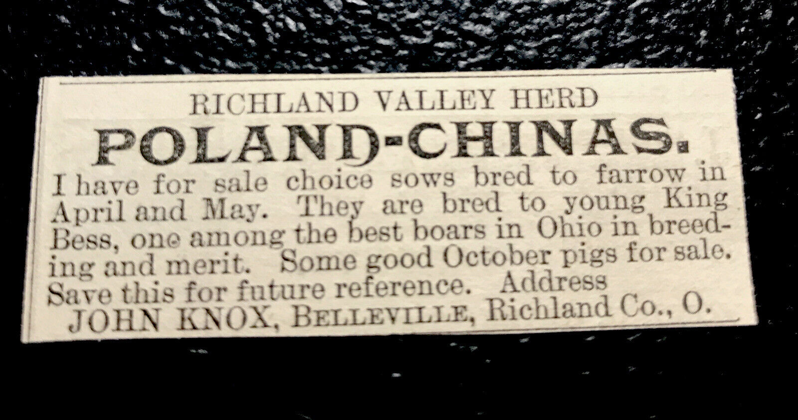 1886 John Knox Hog Pig Farm Advertising - Belleville - Ohio