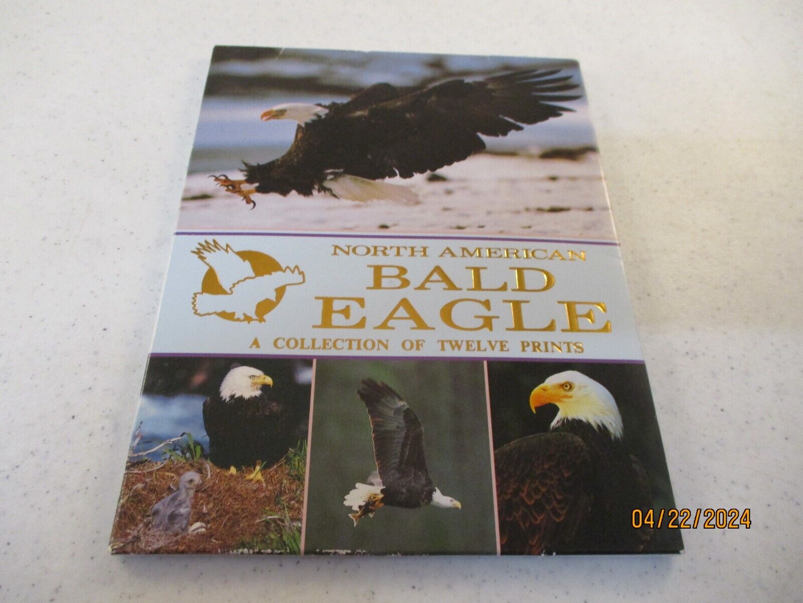 NORTH AMERICAN BALD EAGLE A Collection Of Twelve Prints Packet of Postcards