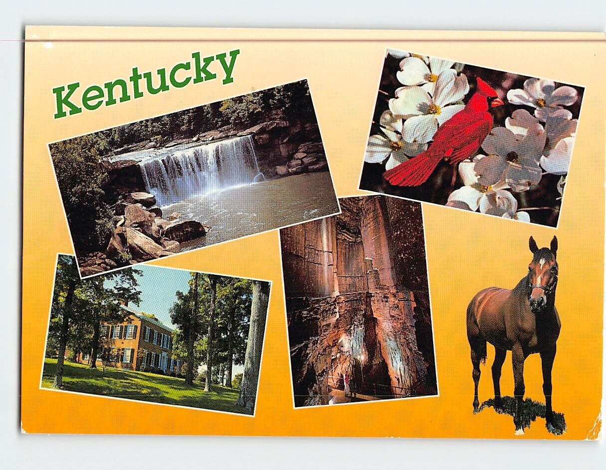 Postcard Greetings from Kentucky USA