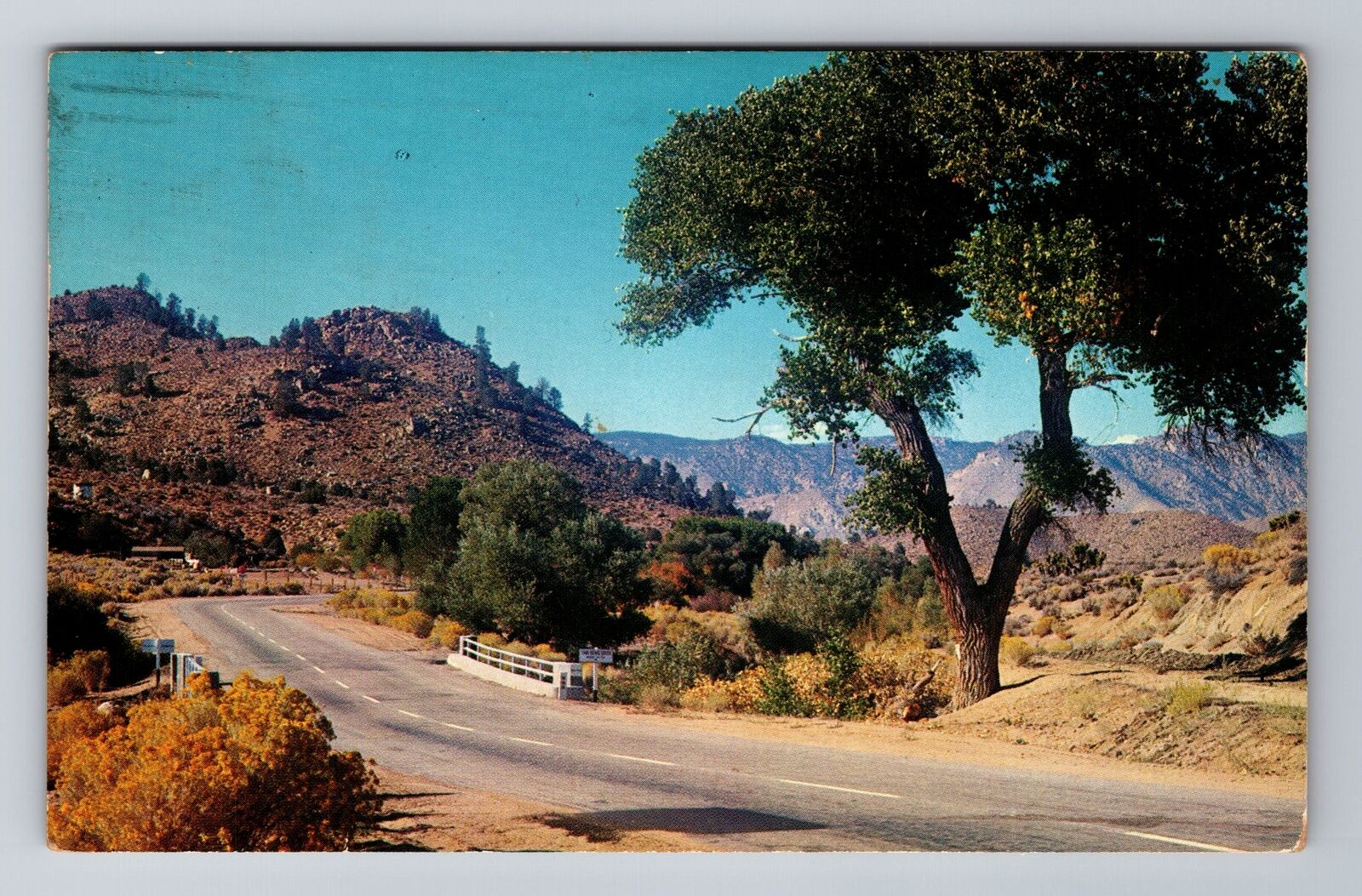 Bakersfield CA-California, Cane Brake Creek, Antique, Vintage c1959 Postcard