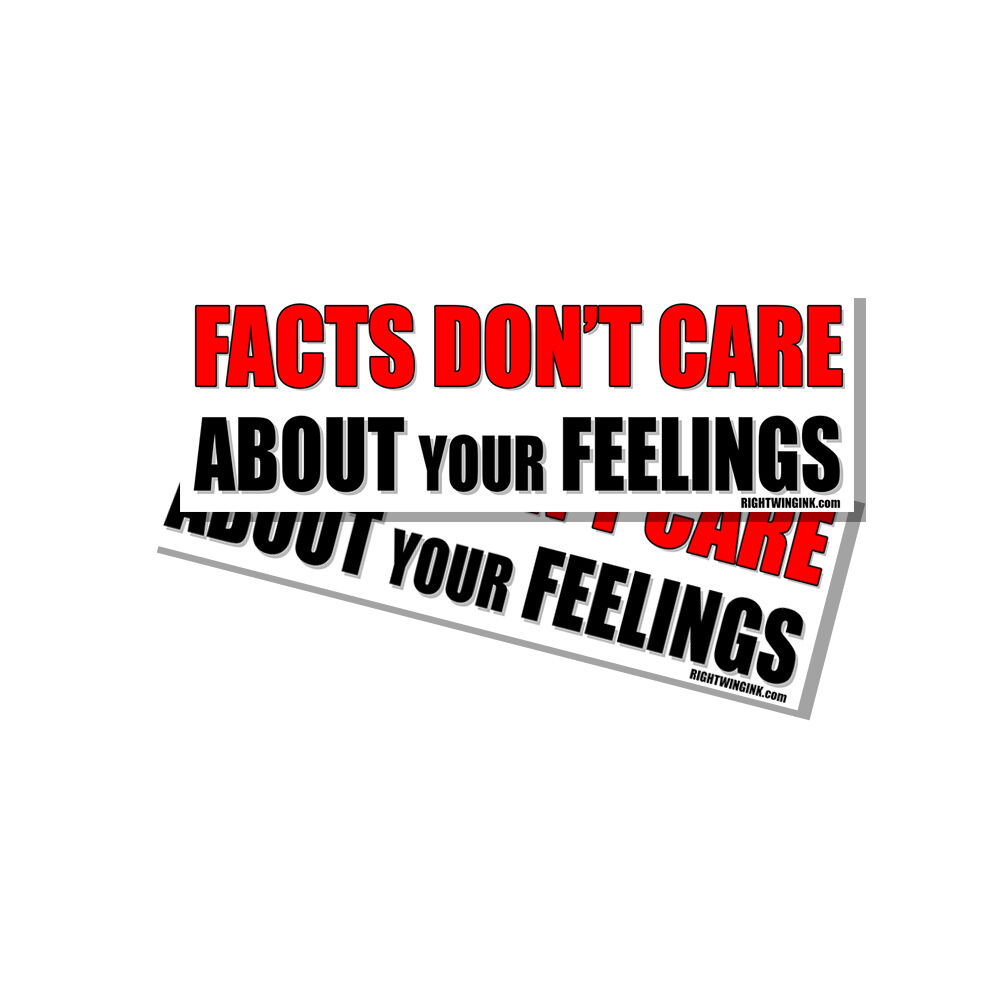 Facts Dont Care about Your Feelings Snowflake Funny Sticker Decal 2 Pack