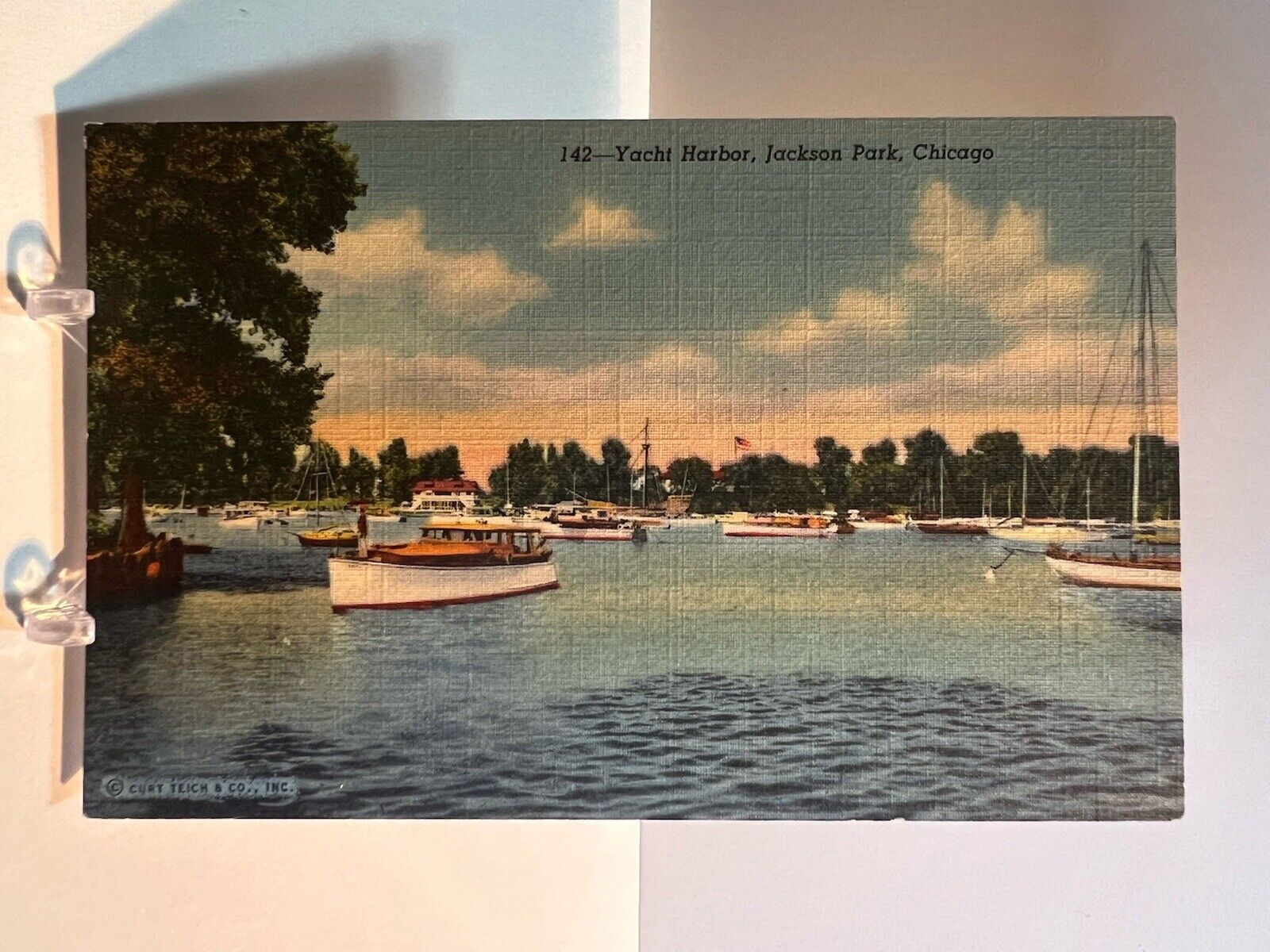 Chicago IL-Illinois, Yacht Harbor, Jackson Park, Antique, Vintage Postcard