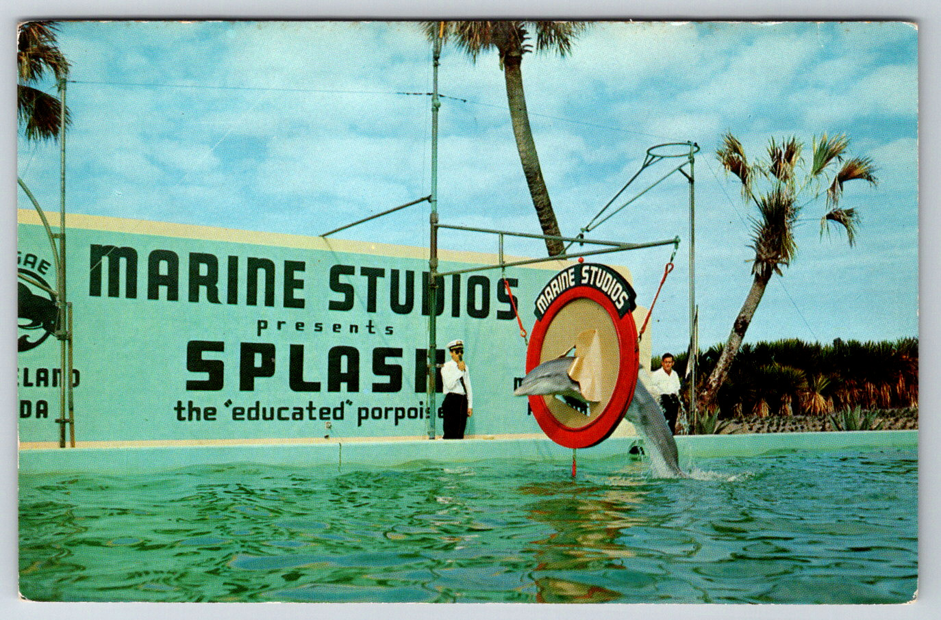 c1960s Splash Jumps Through Hoop Marine Dolphin FL Vintage Postcard