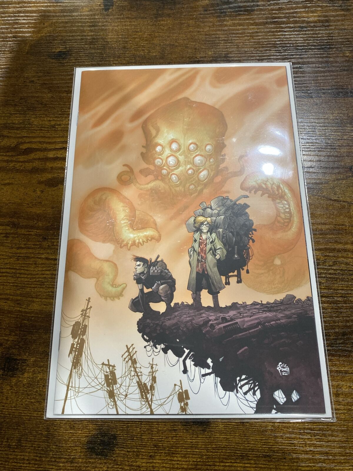 ONCE UPON A TIME AT END OF WORLD #1 * NM+ * Eric Powell Virgin Variant 500 COA