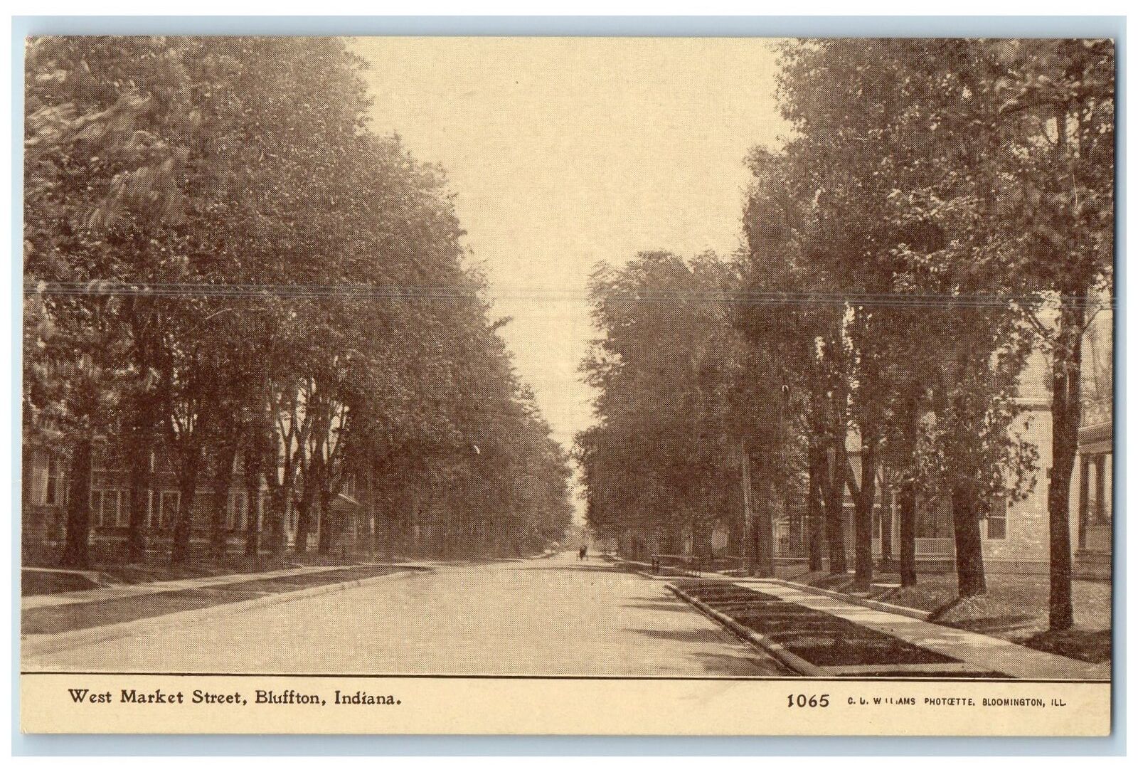 c1905 West Market Street lined Trees Horse Carriage Bluffton Indiana IN Postcard