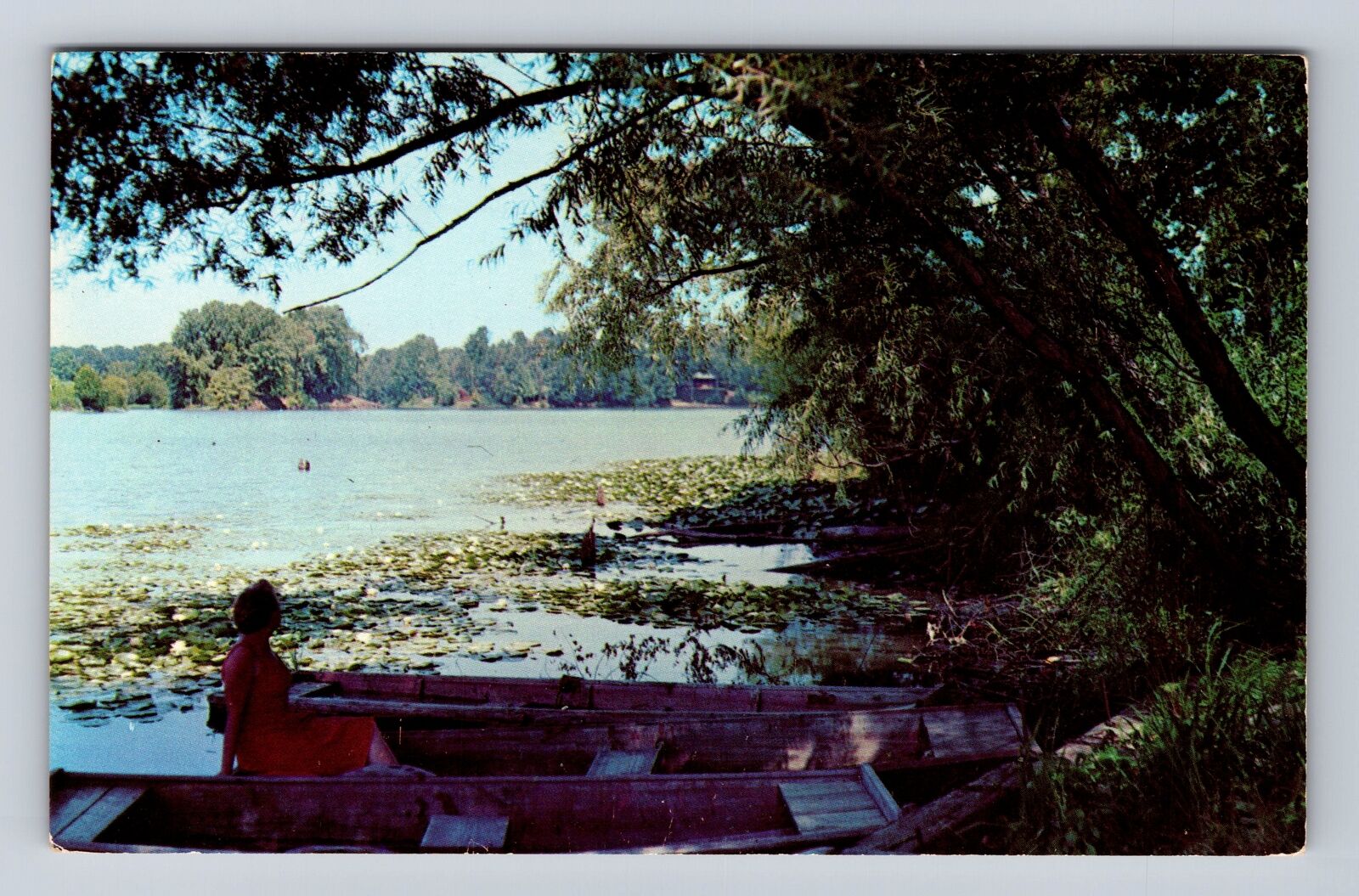 Owensboro KY-Kentucky, Carpenter Lake, Antique, Vintage Souvenir Postcard