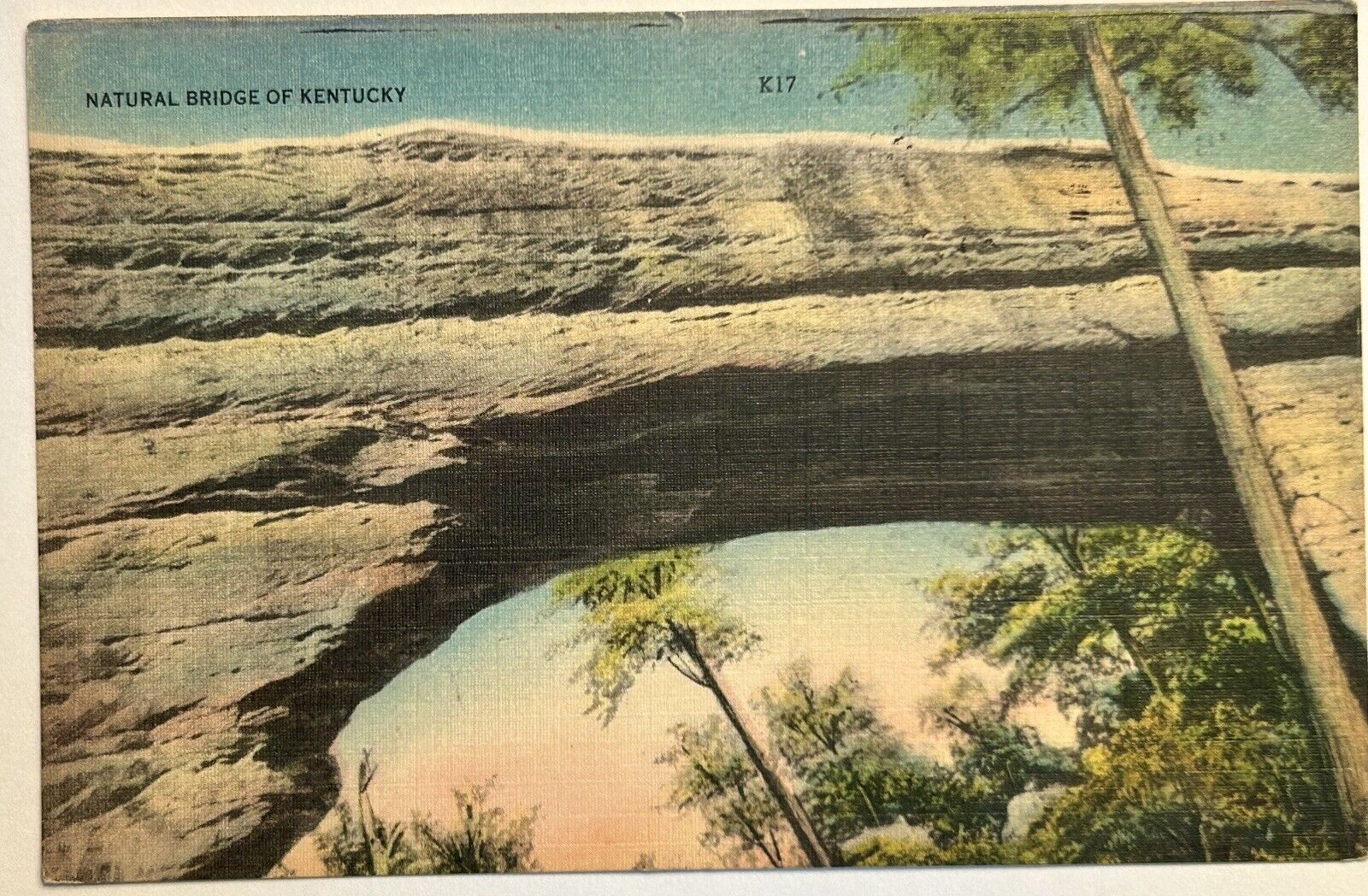 NATURAL BRIDGE OF KENTUCKY 1955 Vintage Postcard